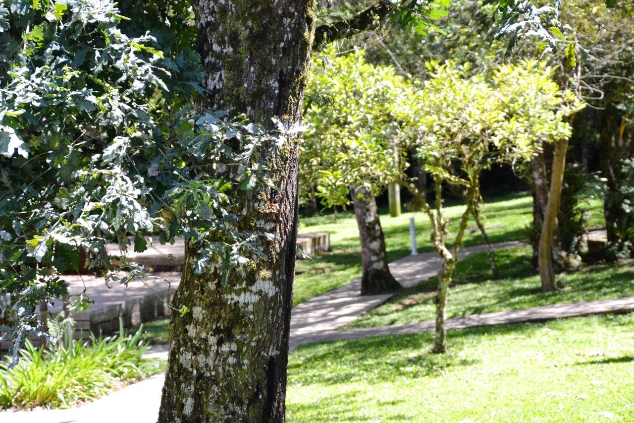 Hotel Pousada Dos Pinheiros Canela Dış mekan fotoğraf